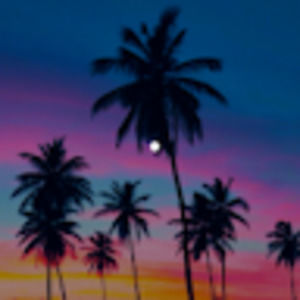 Meet your Posher, Sienna